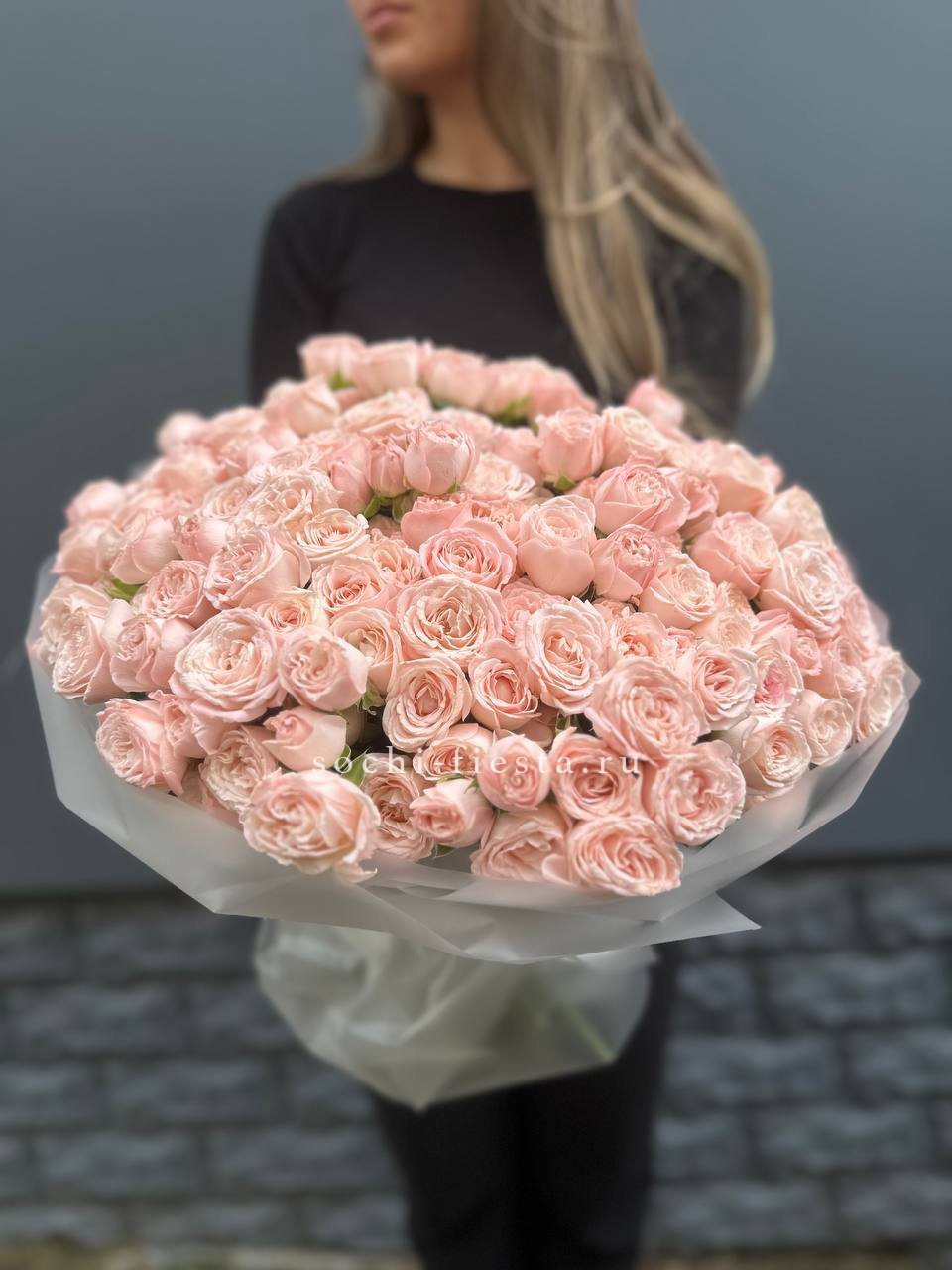 Кустовые розы Бомбастик