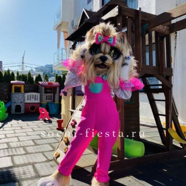 Аниматор Гламурная Собака в Улан-Удэ