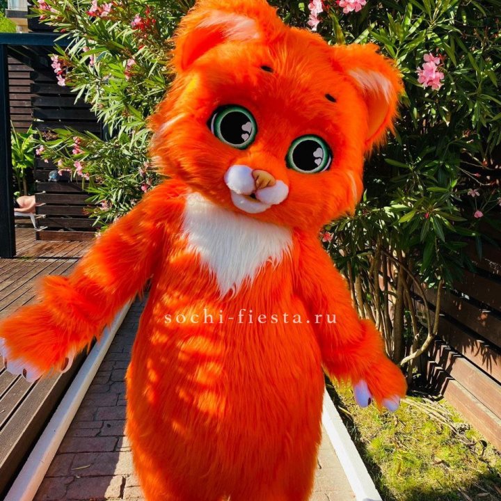 Аниматор Котик в Улан-Удэ