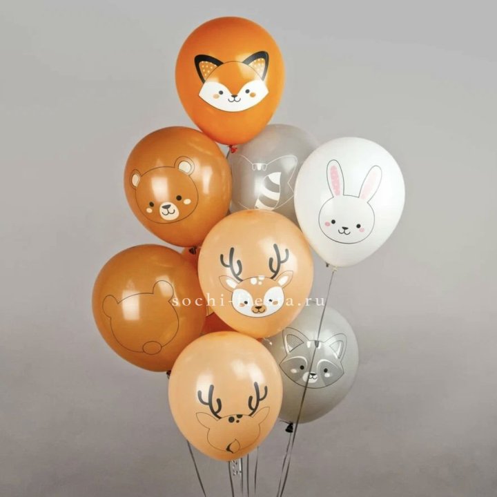 Воздушный шар "Животные" в Улан-Удэ