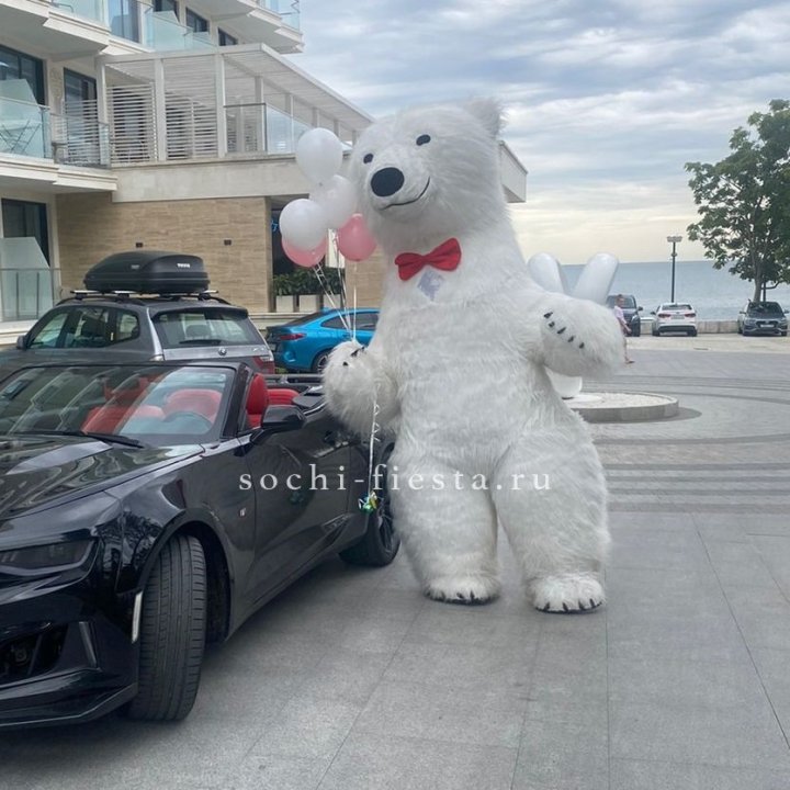 Аниматор Белый Медведь в Улан-Удэ