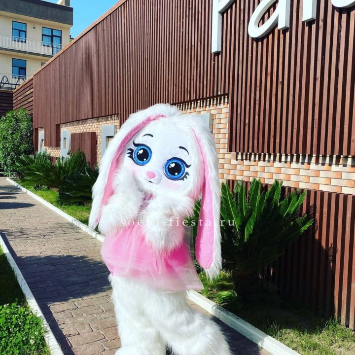 Аниматор Зайка в Улан-Удэ