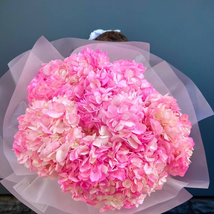 9 ярко розовых гортензий в Улан-Удэ