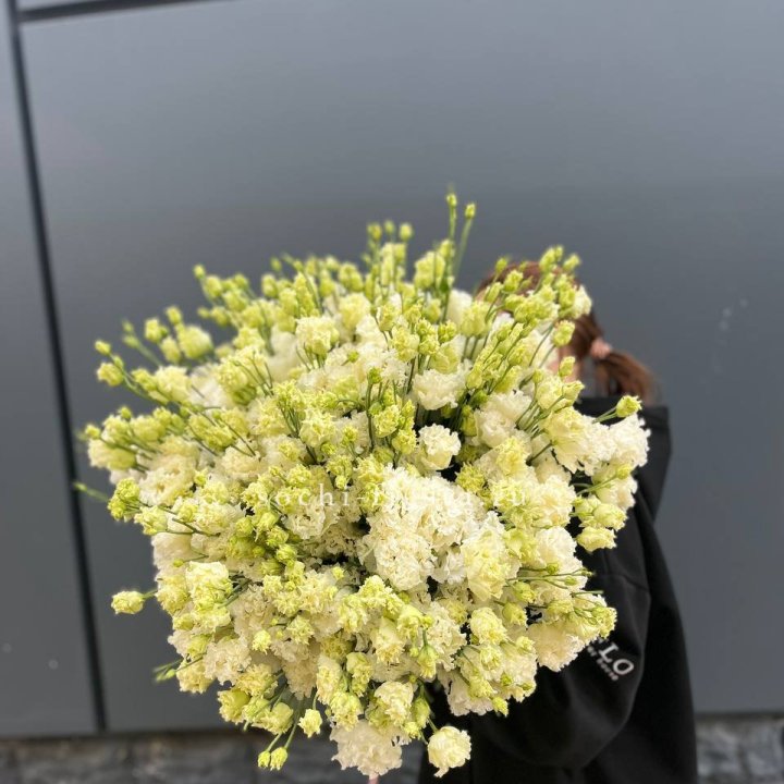 51 белая эустома в Улан-Удэ