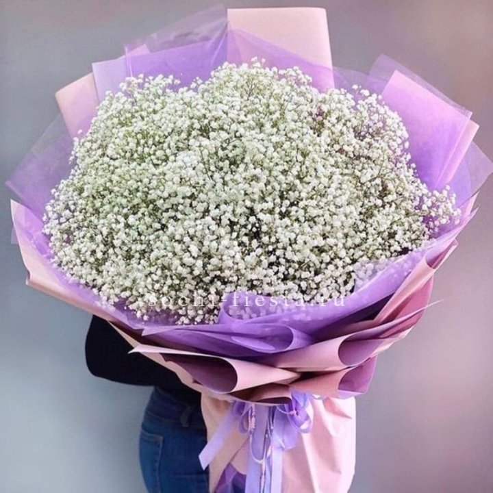 Облако белых гипсофил в Улан-Удэ