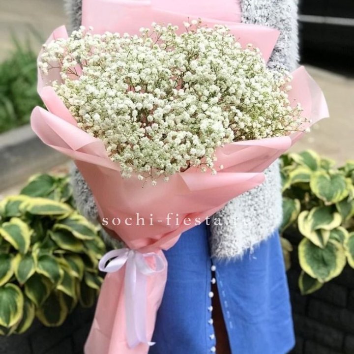 Белоснежные гипсофилы в Улан-Удэ