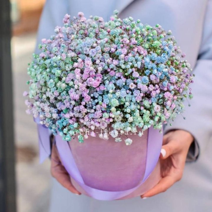 Гипсофилы в шляпной коробке "Кандилайт" в Улан-Удэ