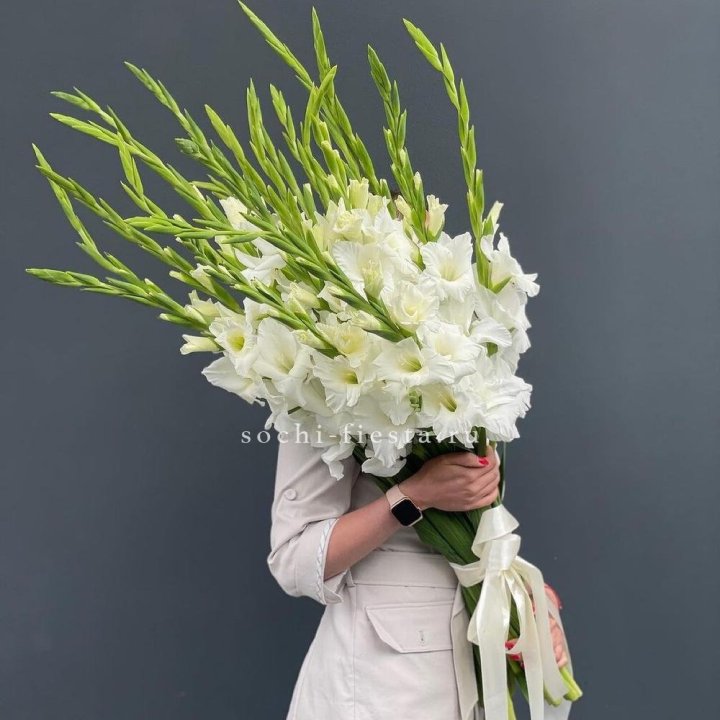 19 белых гладиолусов под ленту в Улан-Удэ