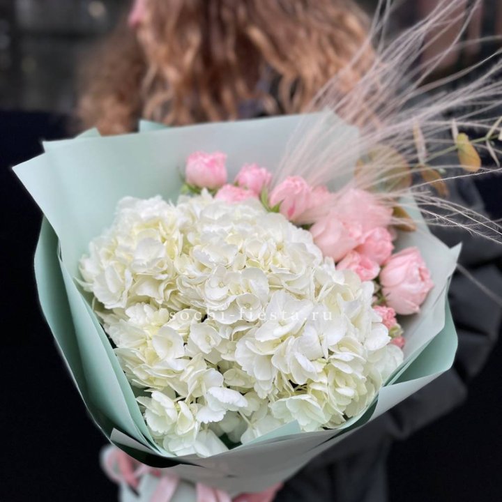 Гортензия "Жасмин" в Улан-Удэ