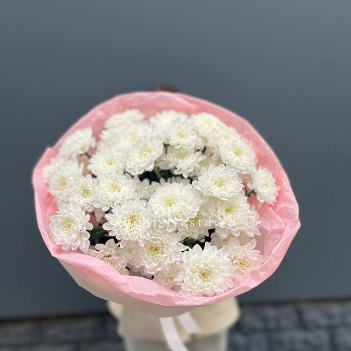  5 хризантем  в Улан-Удэ