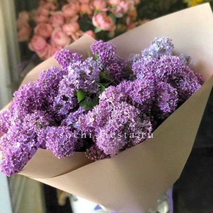 Букет сирени №2 в Улан-Удэ