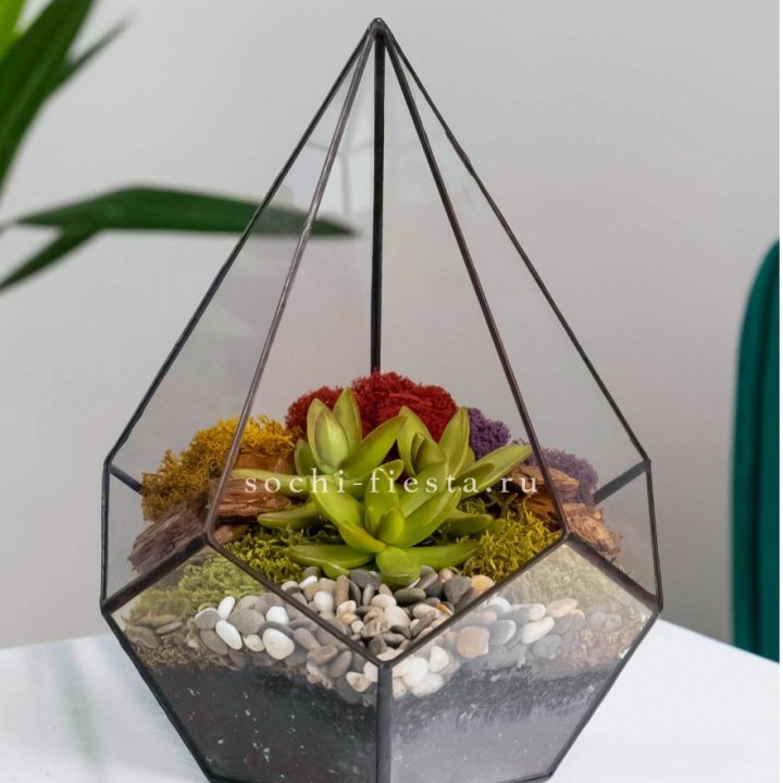 Флорариум Капля с суккулентом в Улан-Удэ