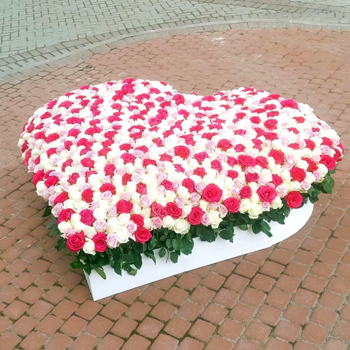 555 роза  в Улан-Удэ