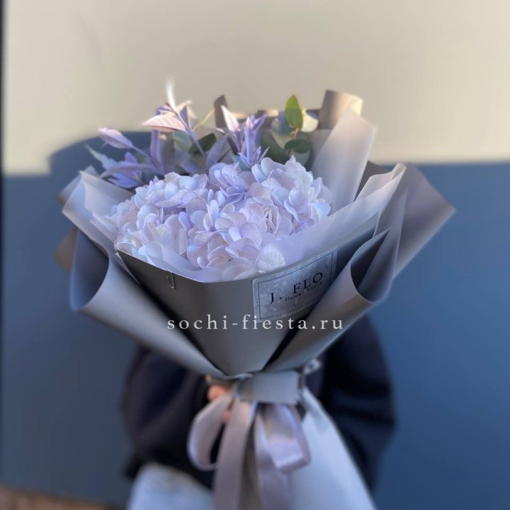 Гортензия "Виолета" в Улан-Удэ
