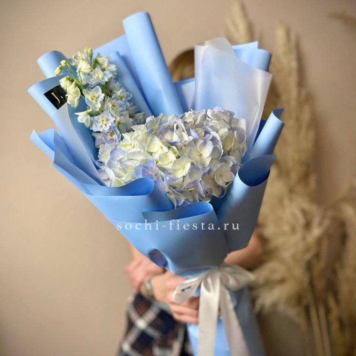 Гортензия "Блю скай" в Улан-Удэ