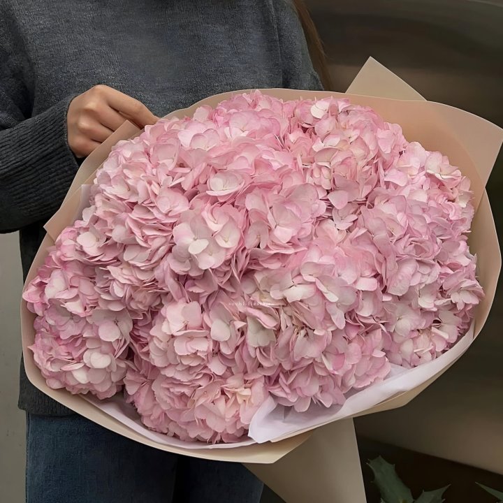 Гортензия  "РОЗЕ" в Улан-Удэ