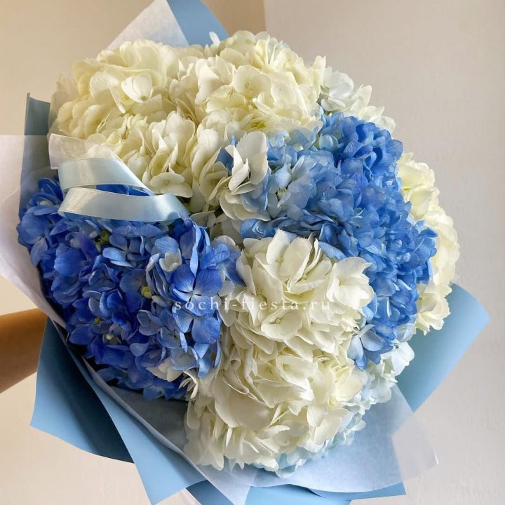 Букет гортензий "Голубая лаза" в Улан-Удэ