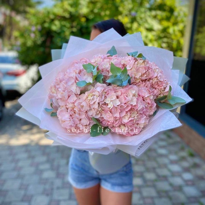 5 розовых гортензий  в Улан-Удэ