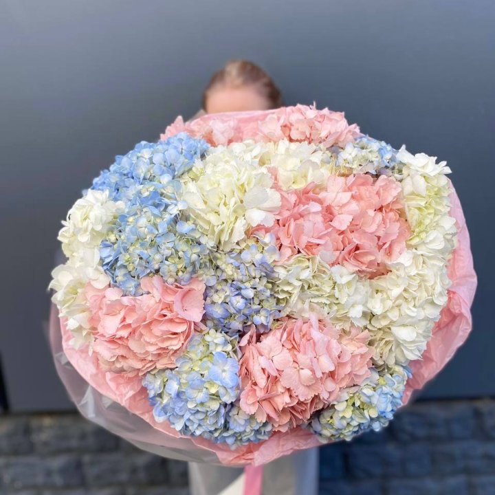 19 гортензий микс в Улан-Удэ