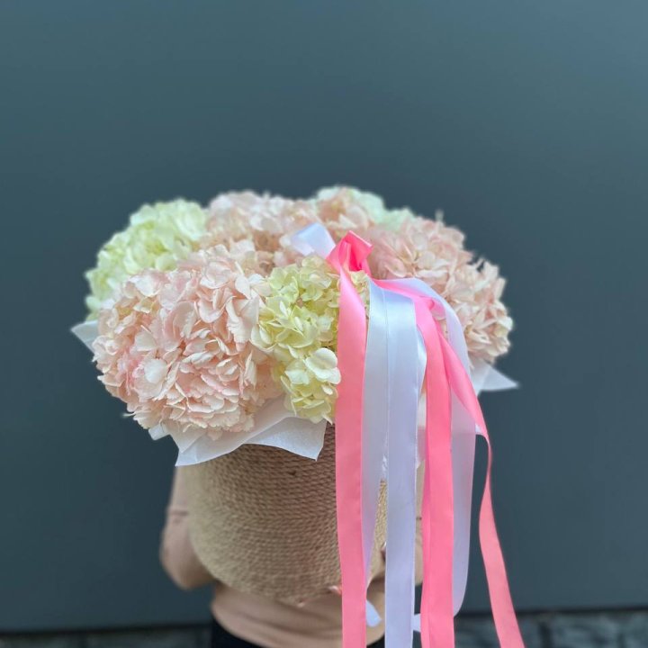 7 гортензий в кашпо в Улан-Удэ