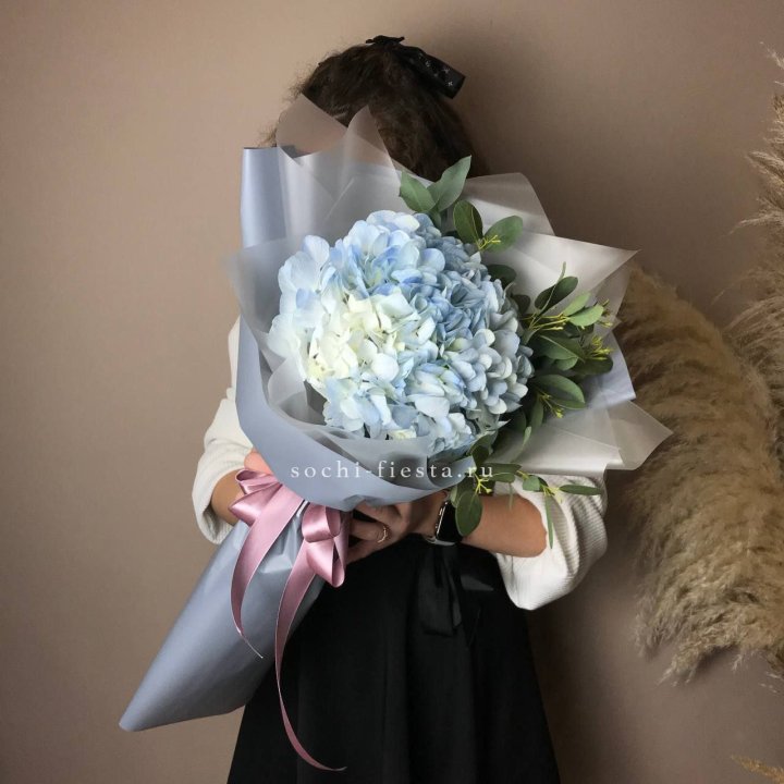 Гортензия Уно в Улан-Удэ