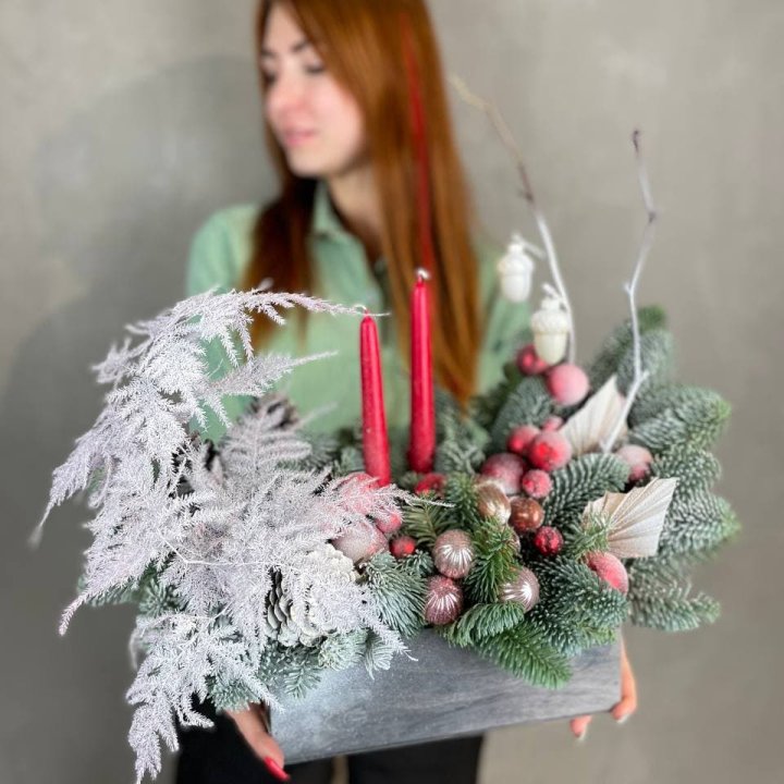 Бокс красный с нобилисом в Улан-Удэ