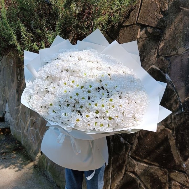 Облако хризантем №2 в Улан-Удэ