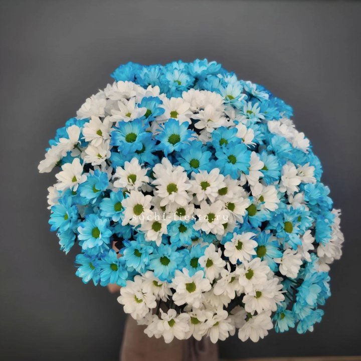  Букет хризантем микс в Улан-Удэ