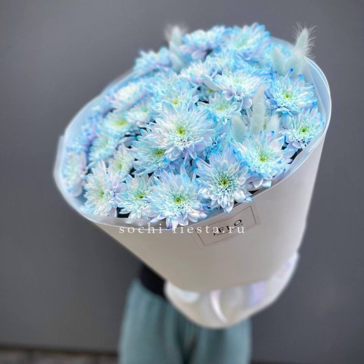  Букет нежно-голубых хризантем  в Улан-Удэ