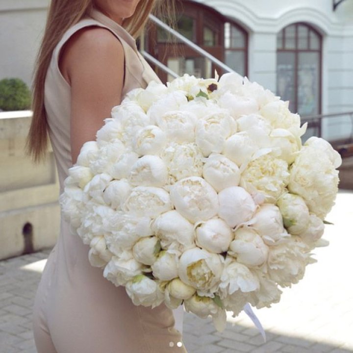 51 белый пион в Улан-Удэ