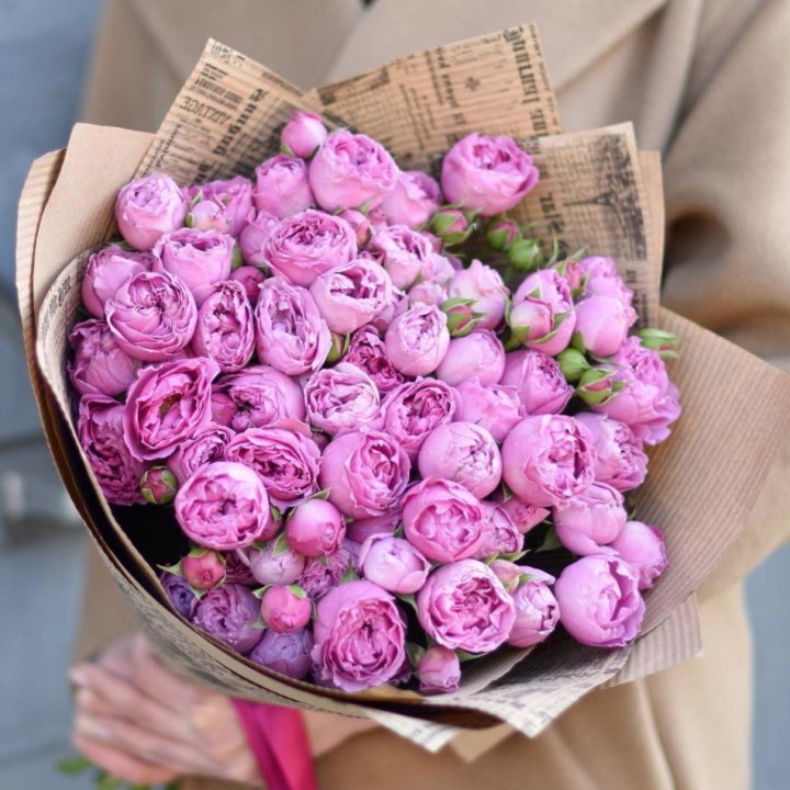 Роза Мисти Баблс в Улан-Удэ