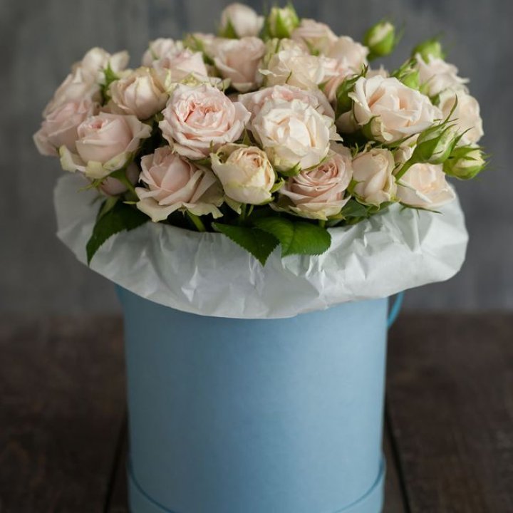 Бокс с бомбастиком в Улан-Удэ