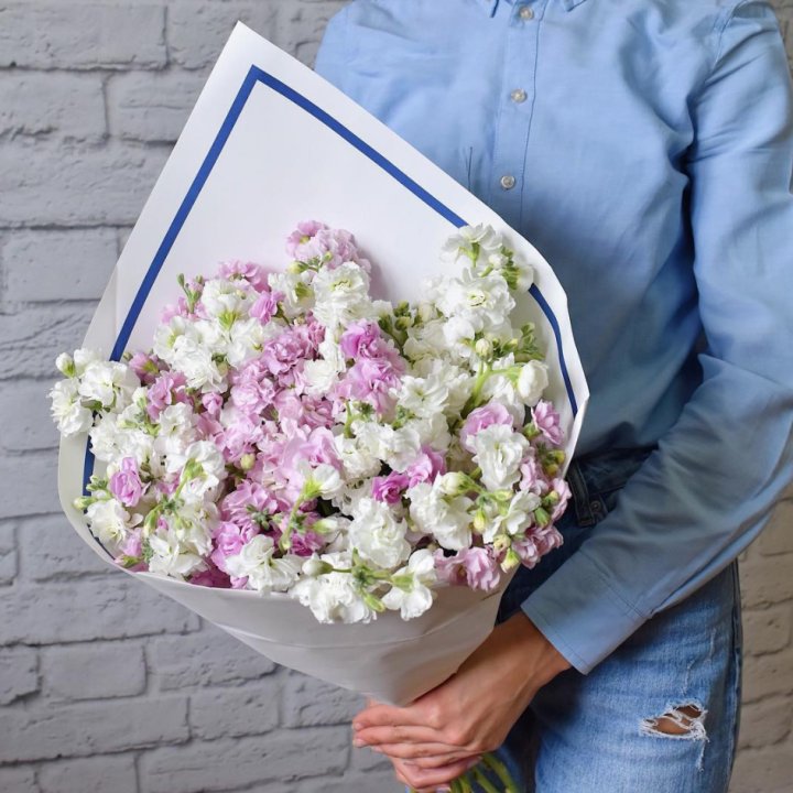 Маттиола в Улан-Удэ