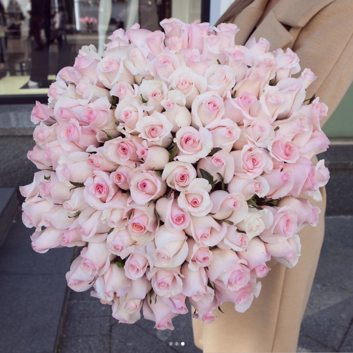 Розы "Пинк бум" в Улан-Удэ