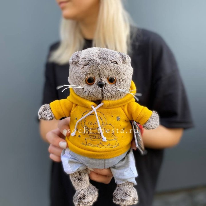 Кот Басик в худи в Улан-Удэ