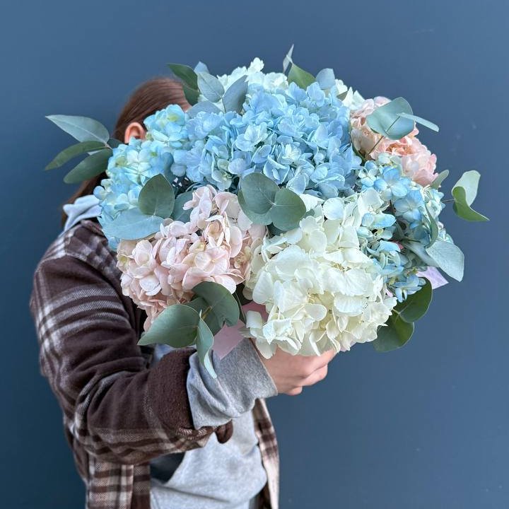 Гортензии в коробочке в Улан-Удэ