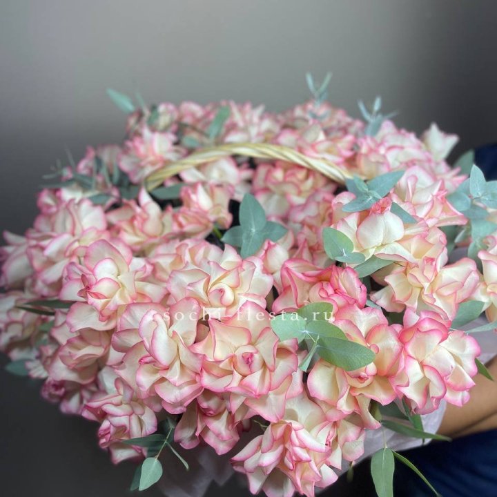 51 джумилия  в корзине   в Улан-Удэ