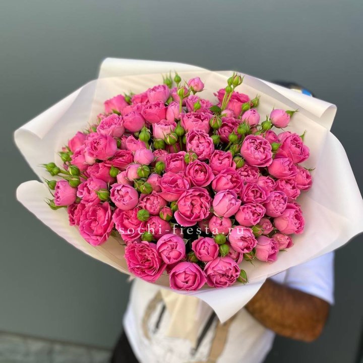 Мисти Баблс 35шт в Улан-Удэ