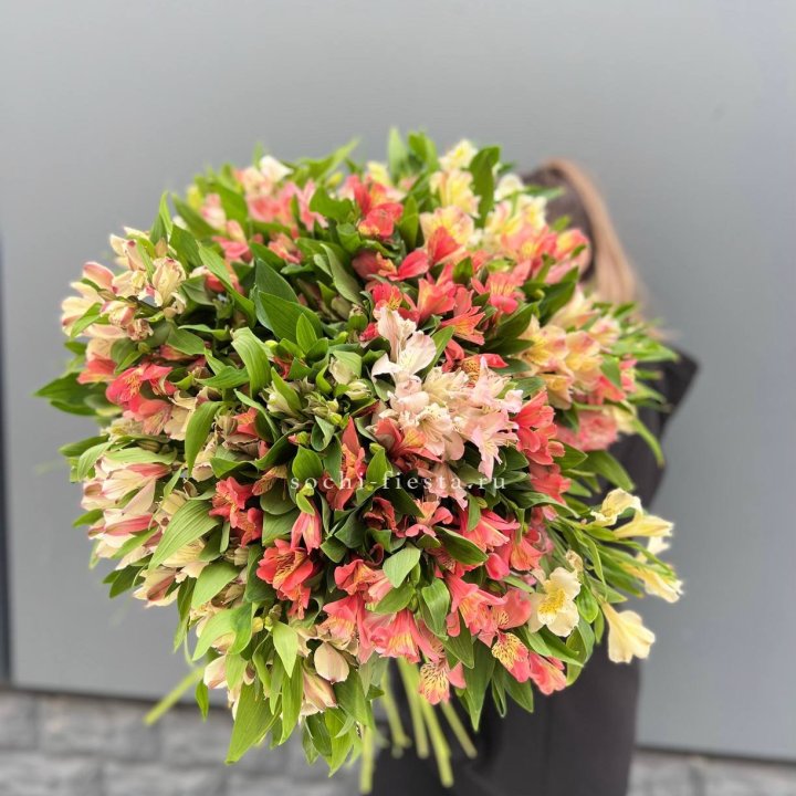 51 альстромерия в Улан-Удэ