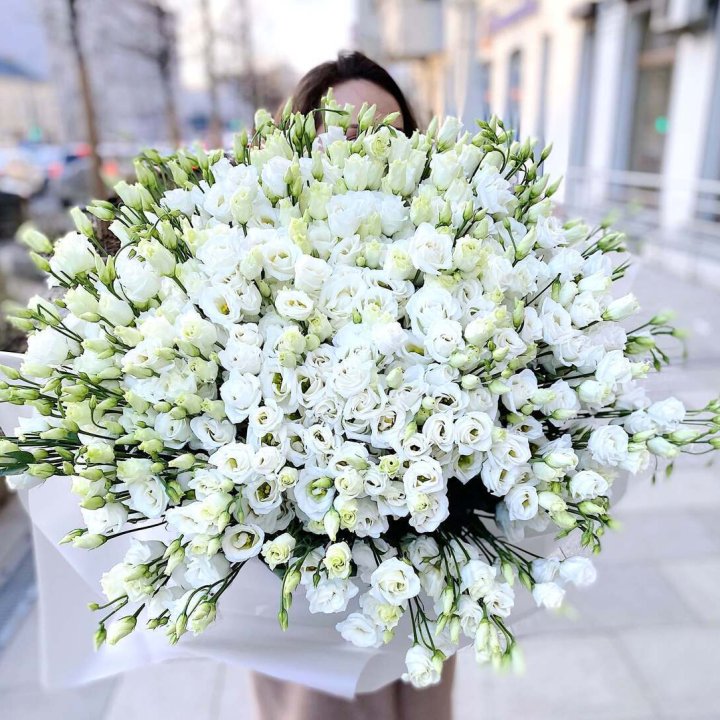 101 белая эустома в Улан-Удэ