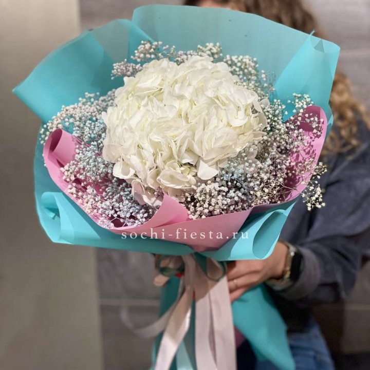 Гортензия "Райдов" в Улан-Удэ