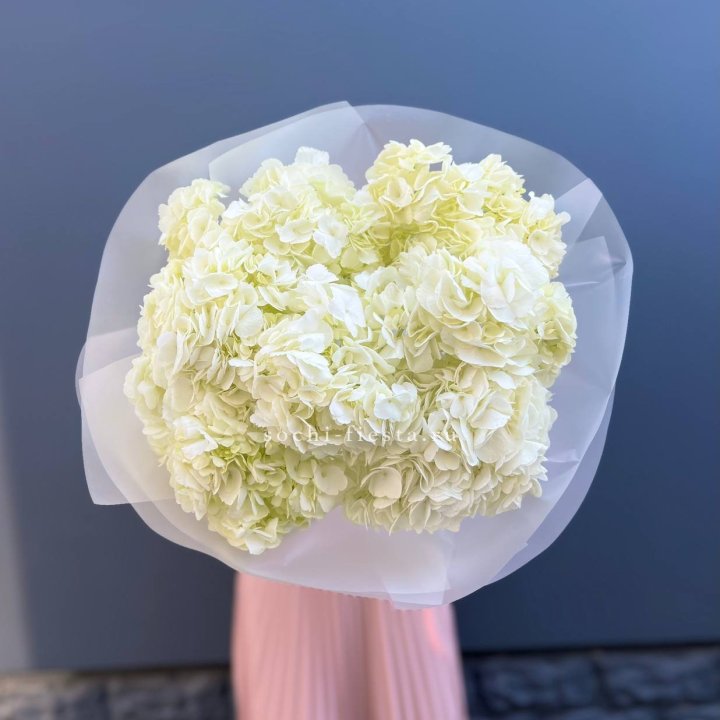 7 белых гортензий в Улан-Удэ