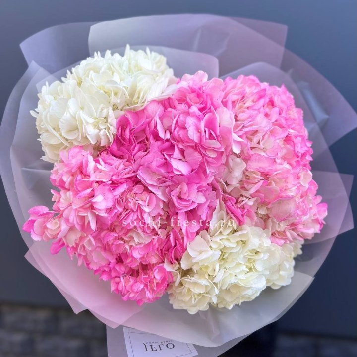 5 бело-розовых гортензий в Улан-Удэ