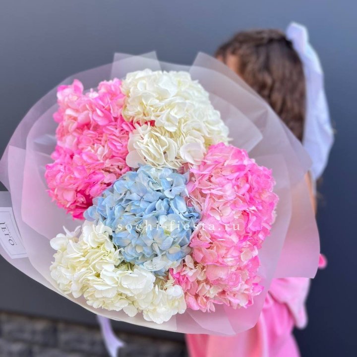 7 гортензий микс в Улан-Удэ