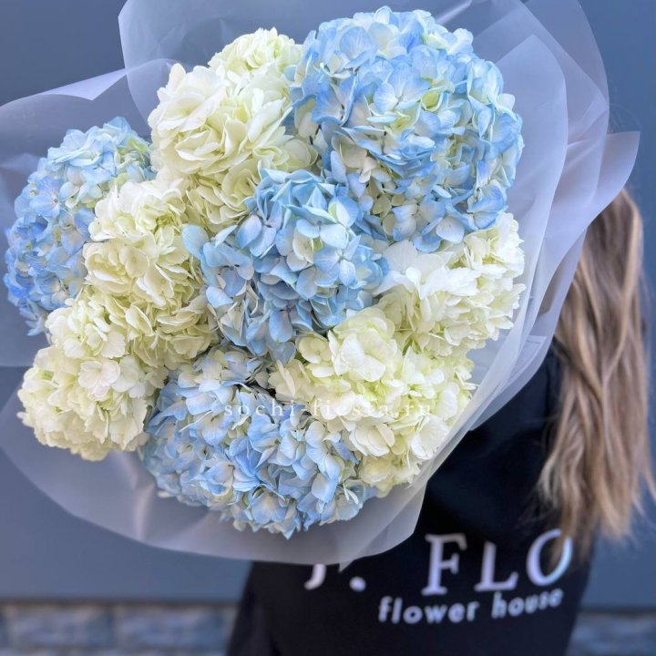 9 бело-голубых гортензий в Улан-Удэ