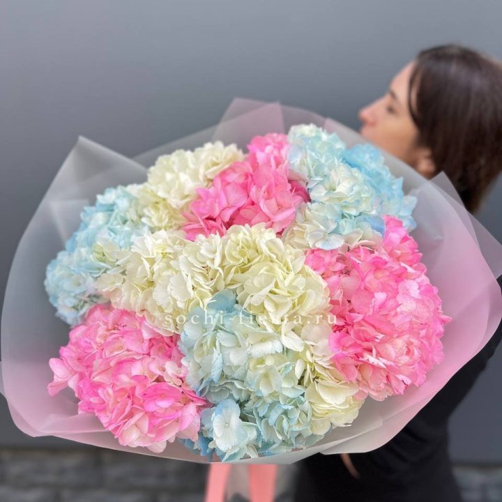 9 гортензий микс в Улан-Удэ