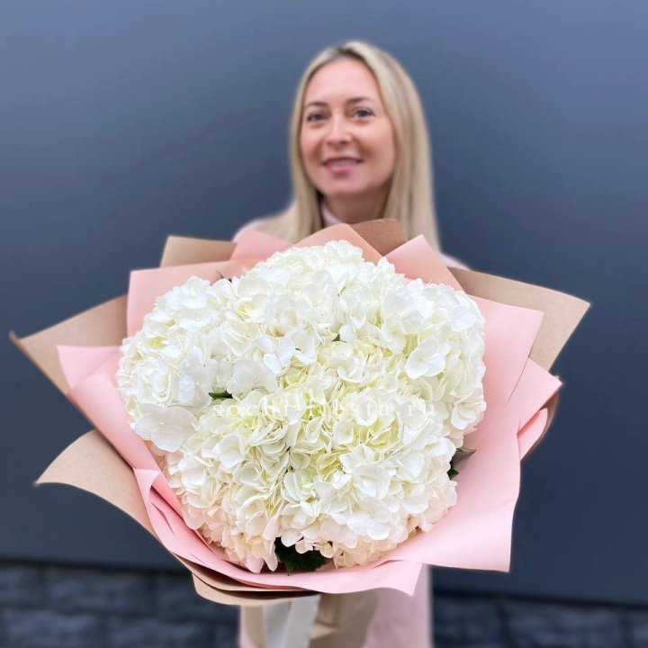 Гортензия белая в Улан-Удэ