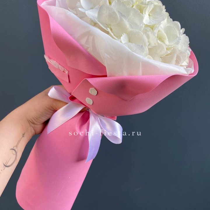 Гортензия в розовом пиджаке в Улан-Удэ