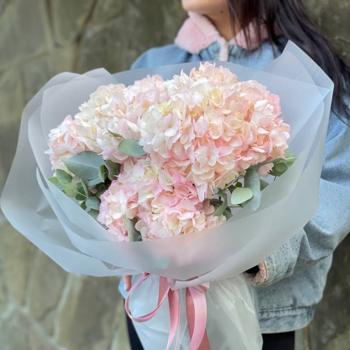 5 розовых гортензий в Улан-Удэ