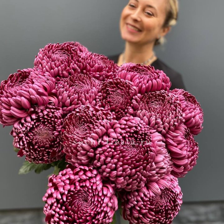 Охапка хризантем Бигуди в Улан-Удэ